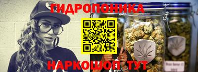 ГАЛЛЮЦИНОГЕННЫЕ ГРИБЫ Сланцы