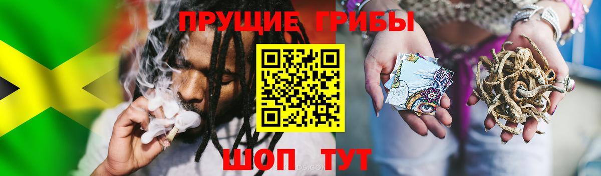 Галлюциногенные грибы GOLDEN TEACHER Нижневартовск